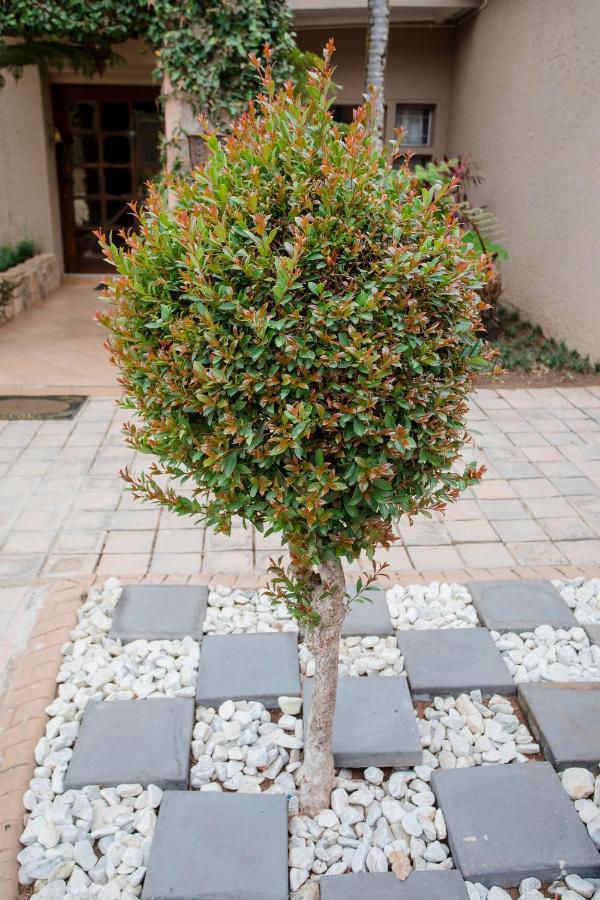 4 Gazelle Guesthouse Mbombela Eksteriør bilde